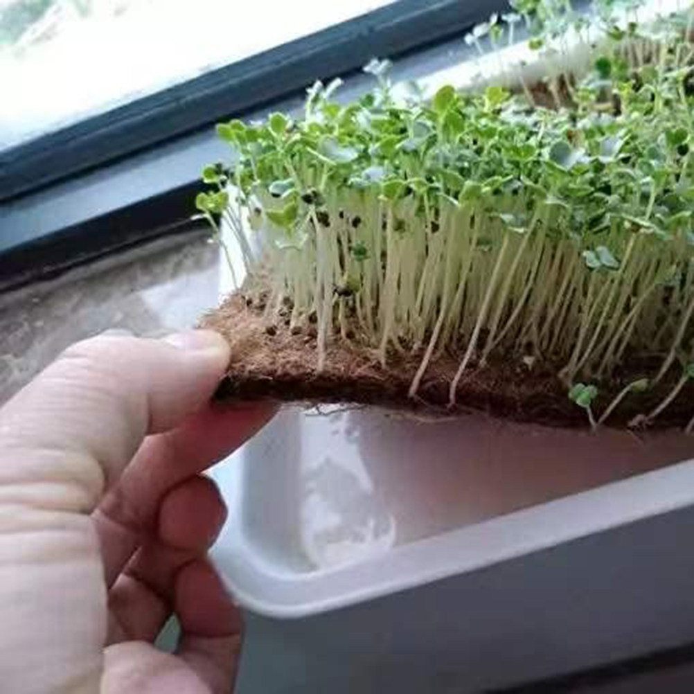 1 Roll Fiber Mat For Compostin - огляд і ціна Biodegradable Bin Liner